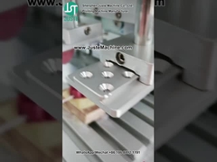 4 Renkli Çaplama Makinesi Ayı Oyuncağı